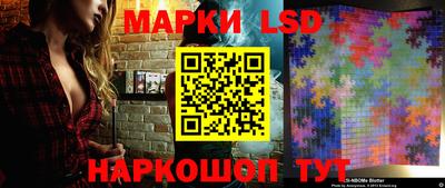 шишки Лесосибирск