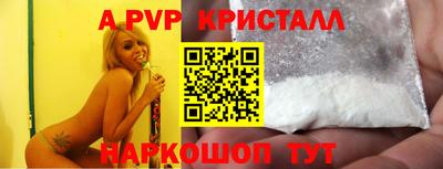 шишки Лесосибирск