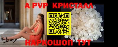 шишки Лесосибирск