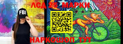 шишки Лесосибирск