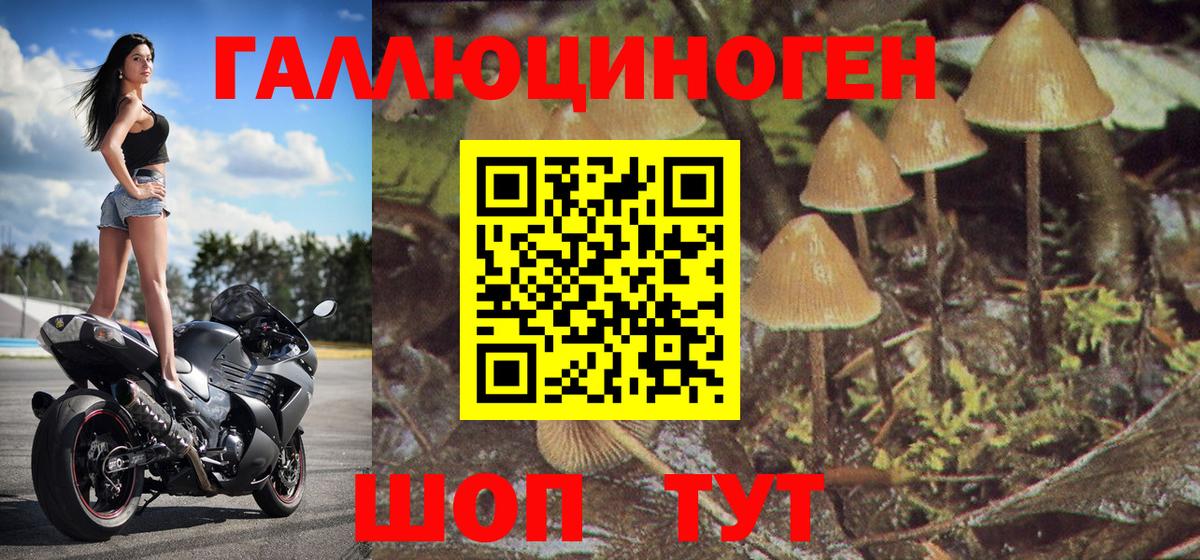 Железногорск  Псилоцибиновые грибы Psilocybe  Вход с VPN  Псилоцибиновые грибы Cubensis 